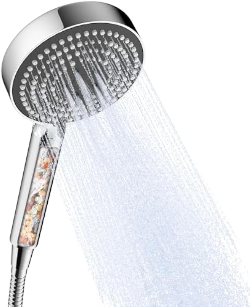 Filtered handheld shower head with hose